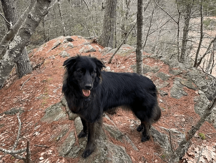 everyones favorite and most express urgent care provider